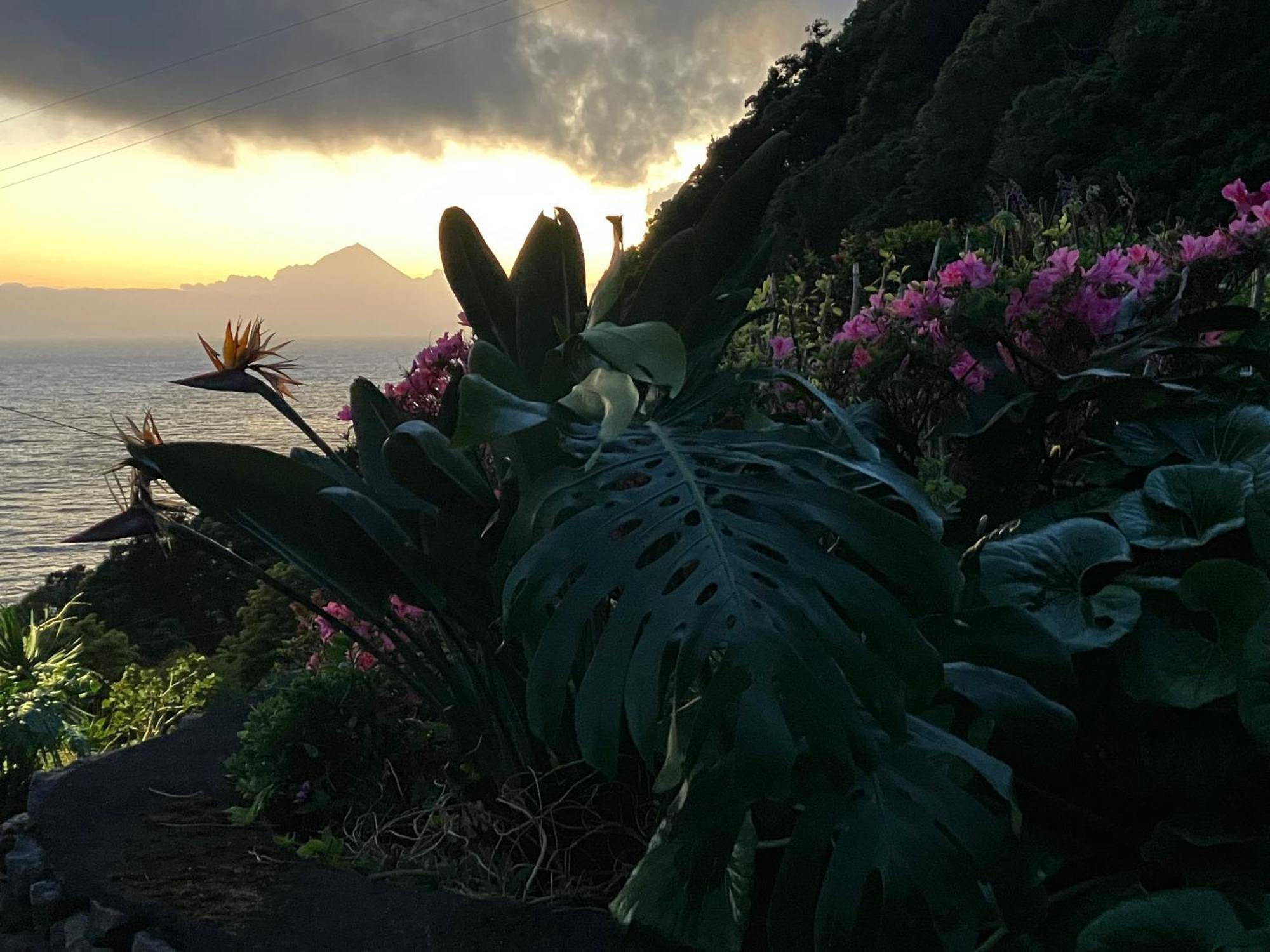 Vistalinda Cabins Calheta  Екстер'єр фото